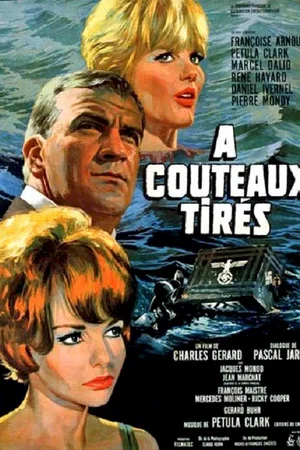 Affiche du film : A couteaux tirés