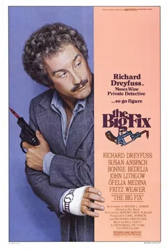 Affiche du film The big fix