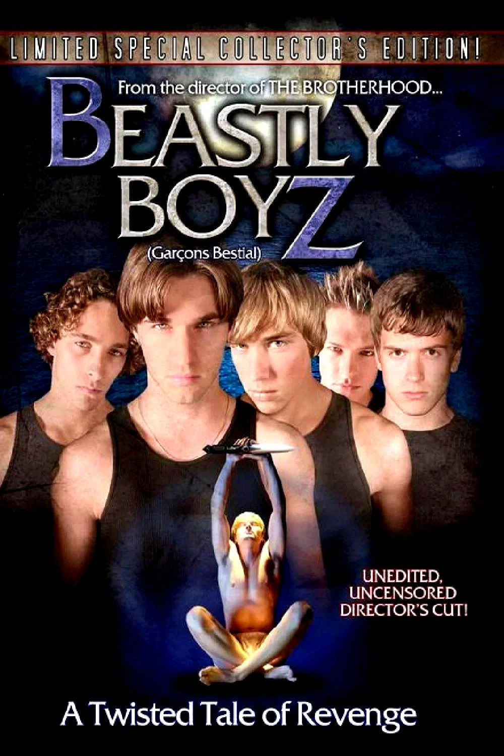 Affiche du film : Beastly