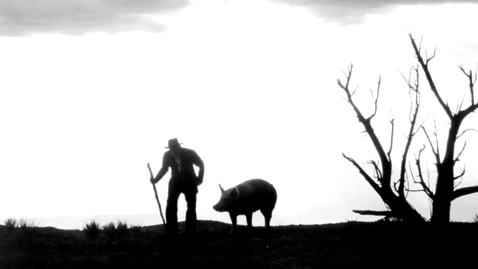 Photo du film : Milagro