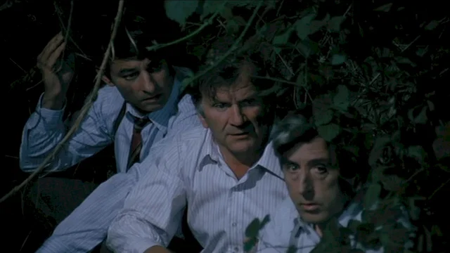 Photo du film : La 7ème compagnie au clair de lune