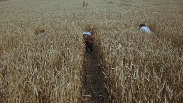 Photo du film : La 7ème compagnie au clair de lune