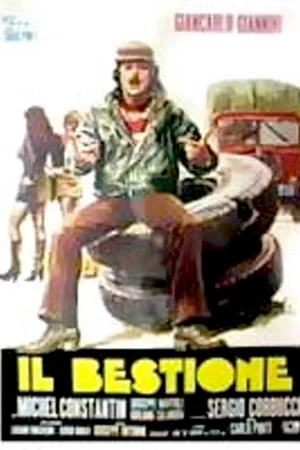 Affiche du film : Deux grandes gueules