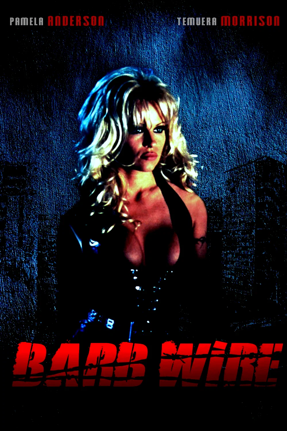 Affiche du film : Barb wire