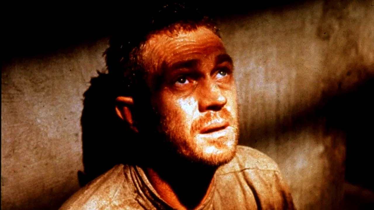 Photo 3 du film : Papillon