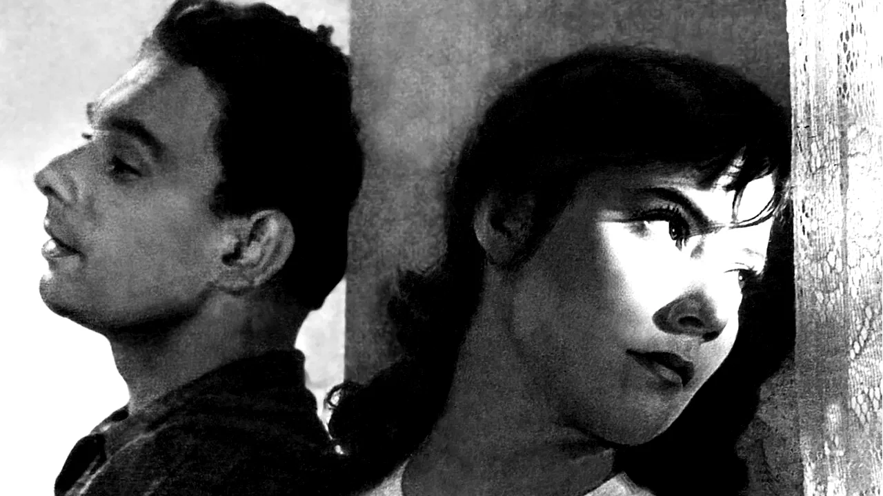 Photo 3 du film : Quand passent les cigognes