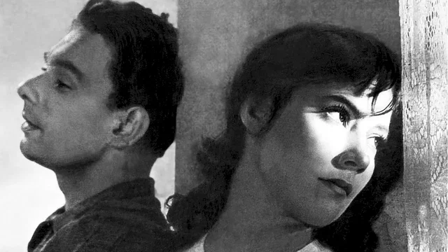 Photo 3 du film : Quand passent les cigognes