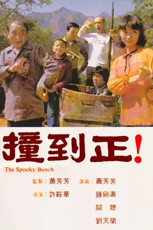 Affiche du film : The Spooky Bunch