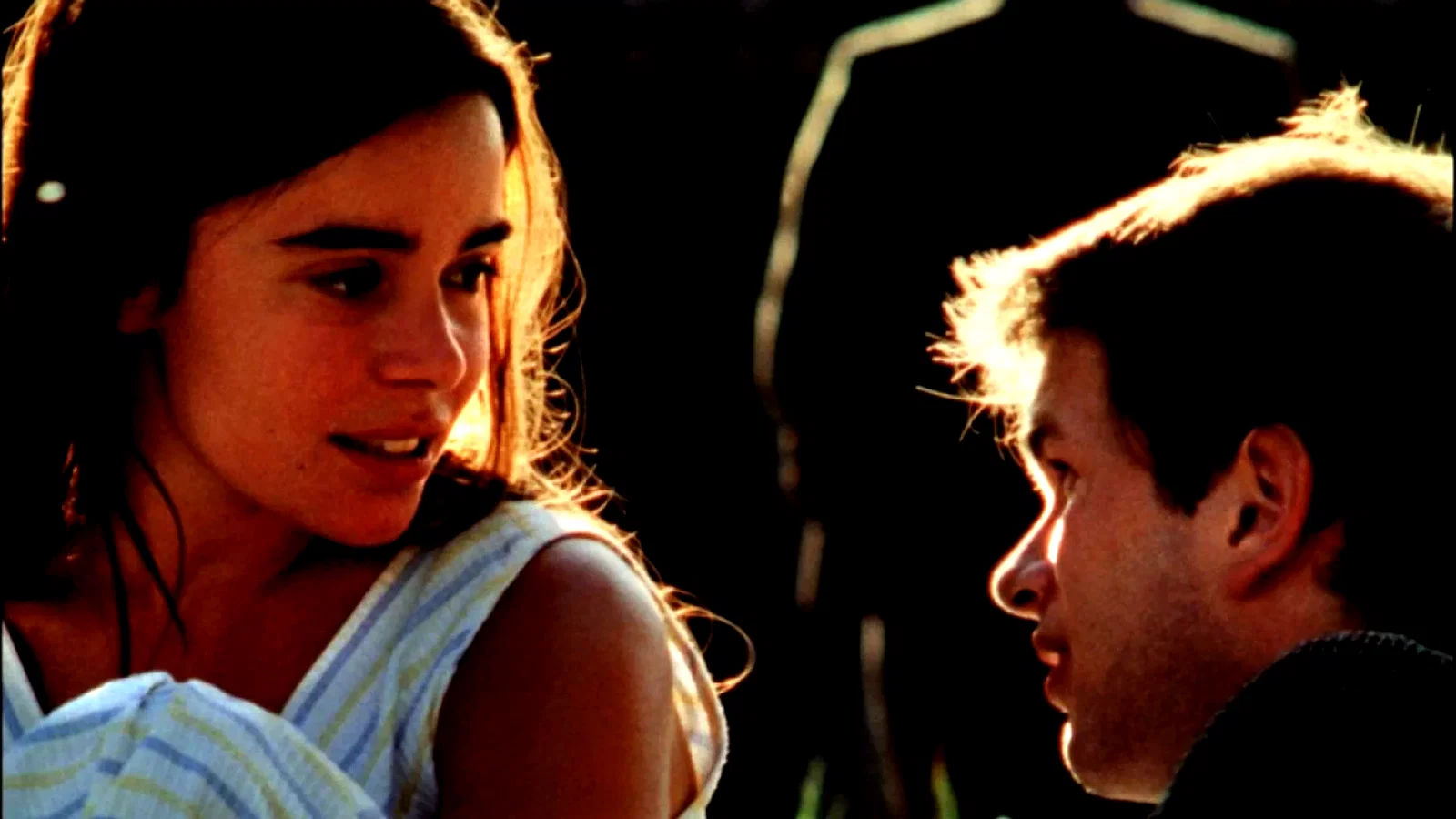Photo 2 du film : Les roseaux sauvages