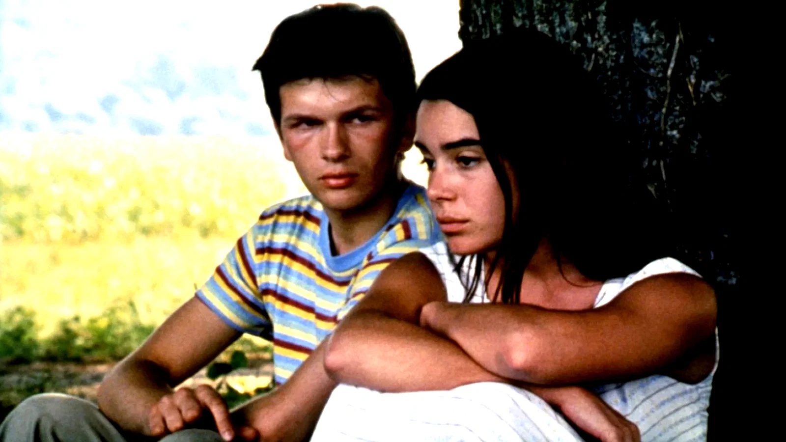 Photo 3 du film : Les roseaux sauvages