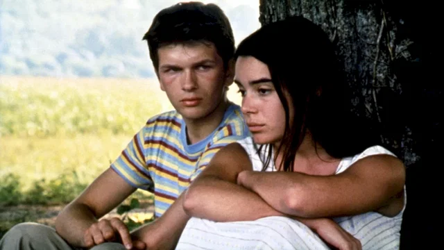 Photo du film : Les roseaux sauvages