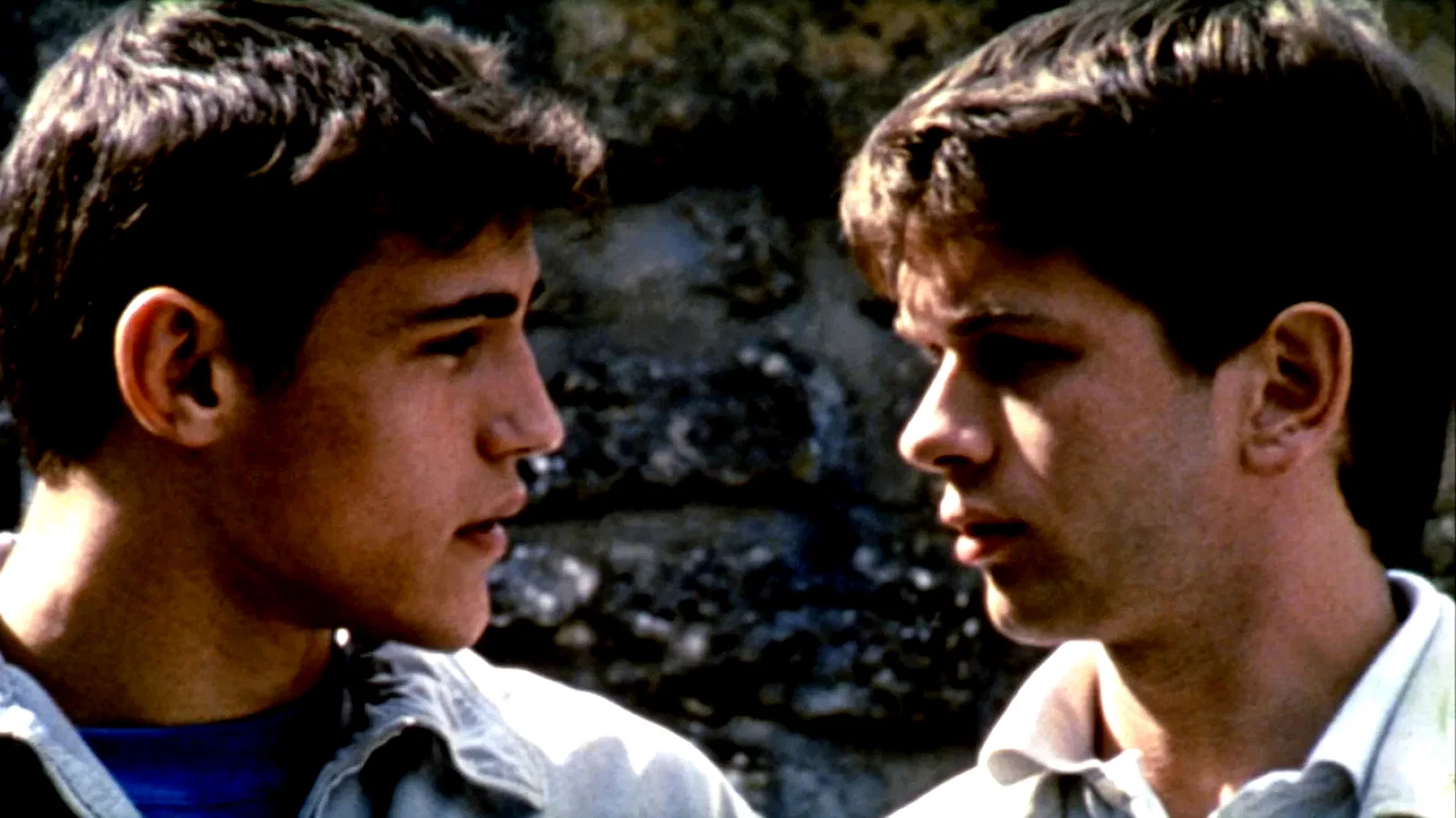 Photo 4 du film : Les roseaux sauvages