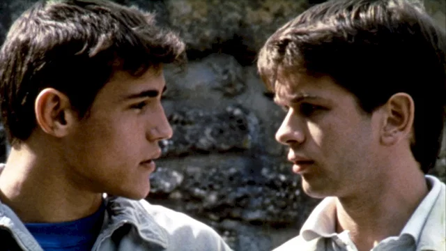 Photo du film : Les roseaux sauvages