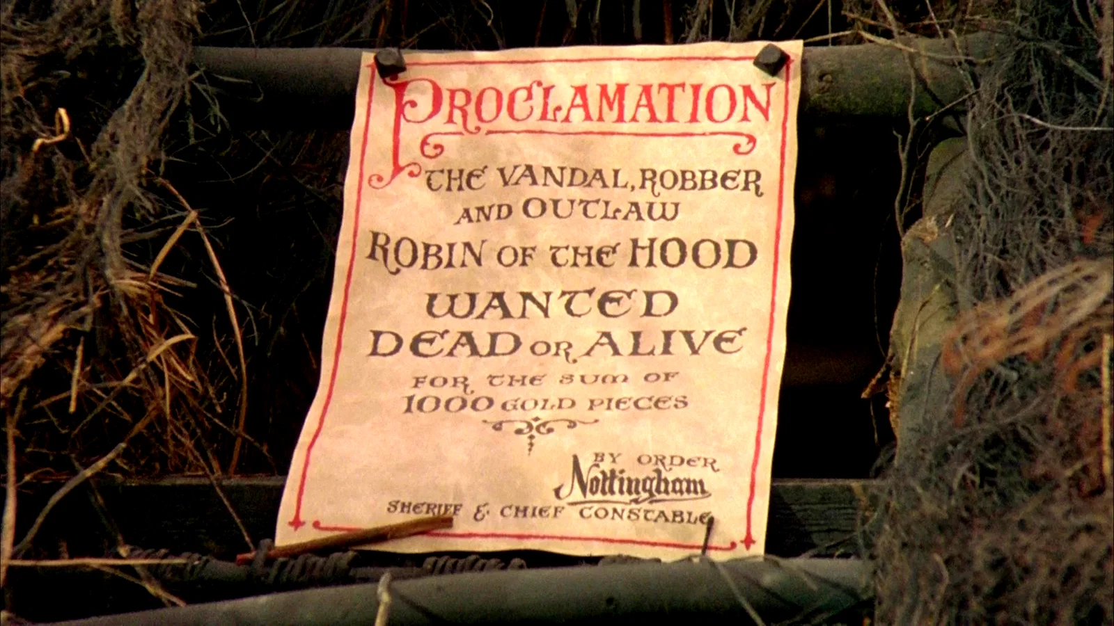 Photo du film : Robin des bois, Prince des voleurs