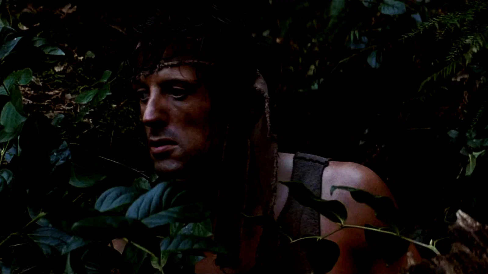 Photo 2 du film : Rambo