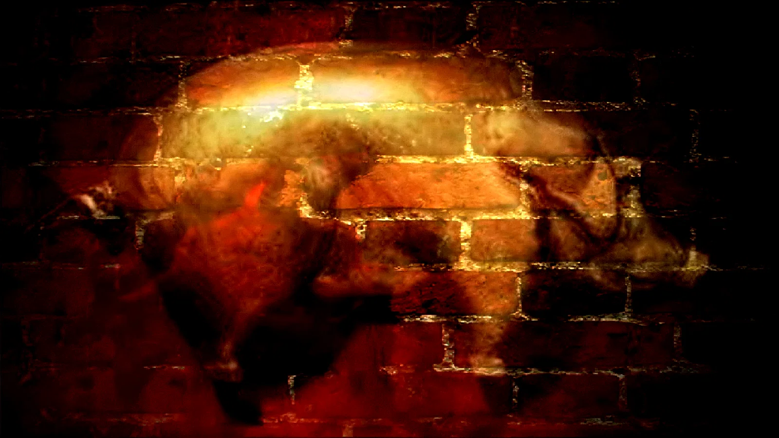 Photo 11 du film : Delicatessen
