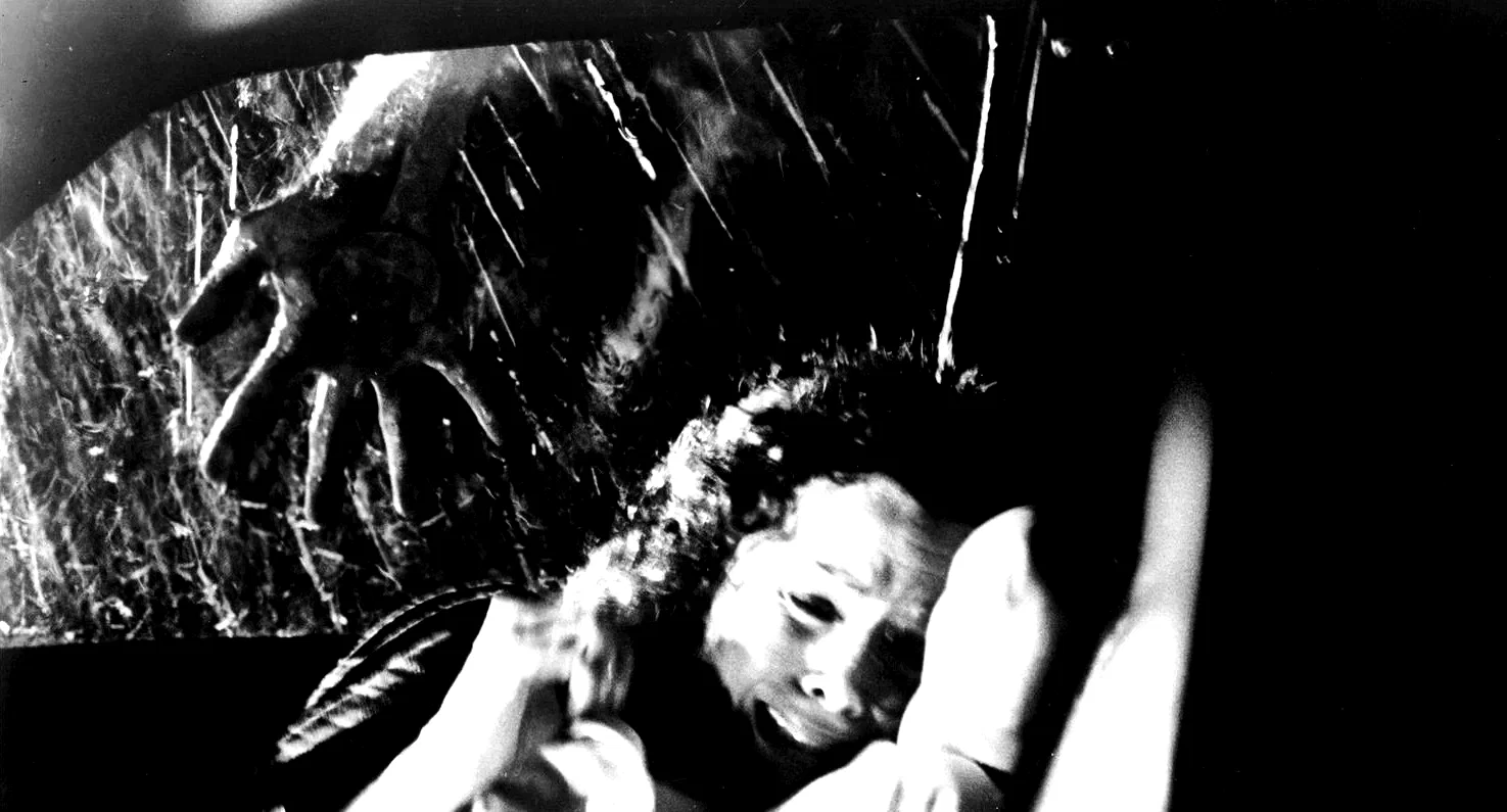Photo 5 du film : Halloween, la nuit des masques