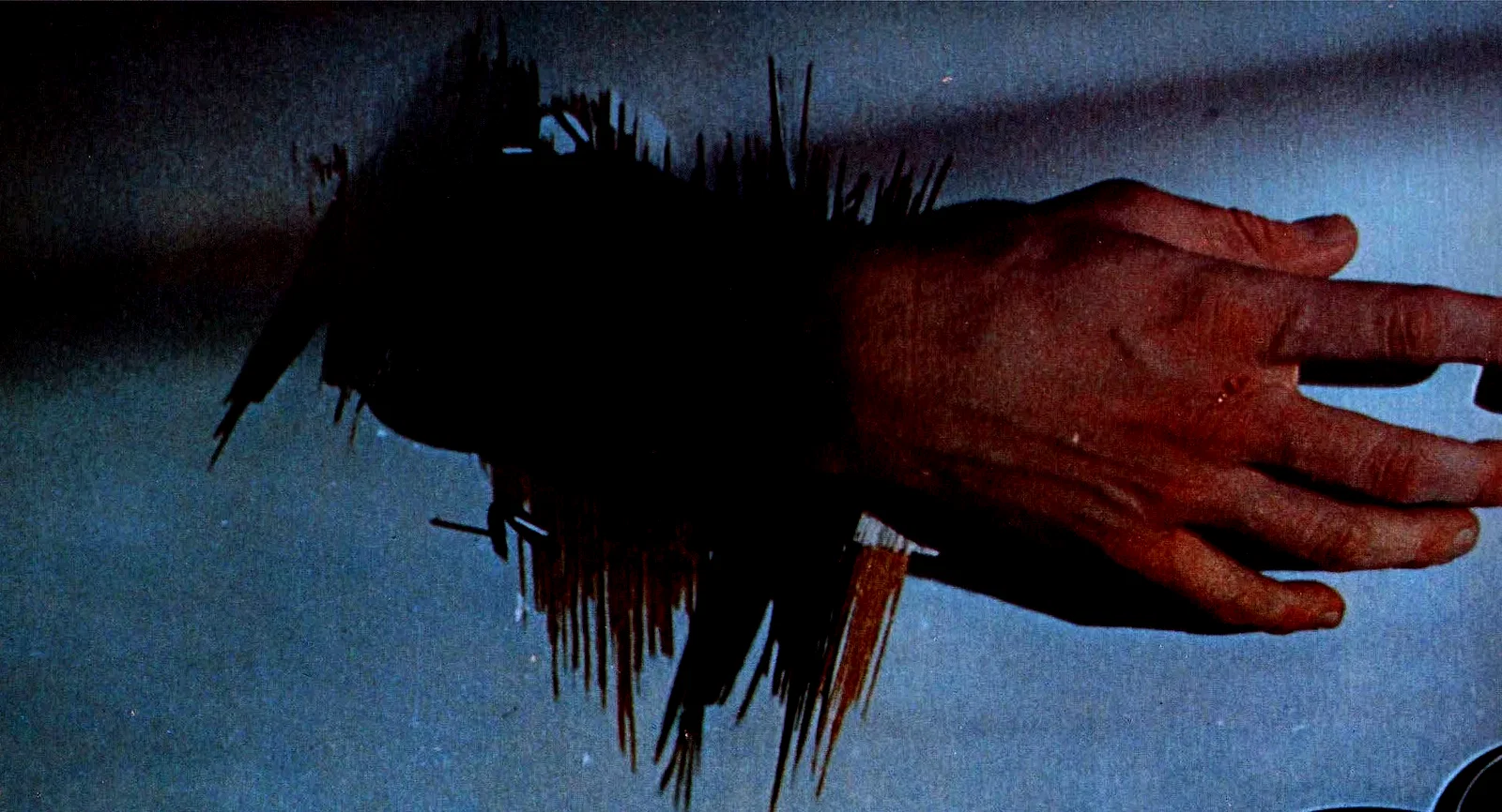 Photo 10 du film : Halloween, la nuit des masques