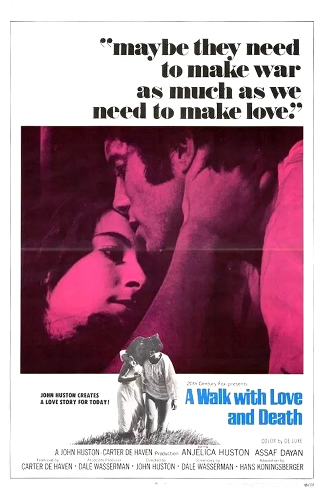 Affiche du film : Promenade avec l'amour et la mort