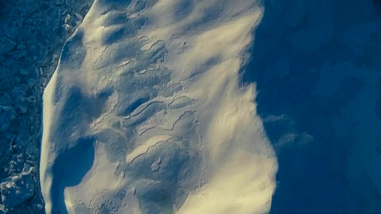 Photo 3 du film : Arctic Tale