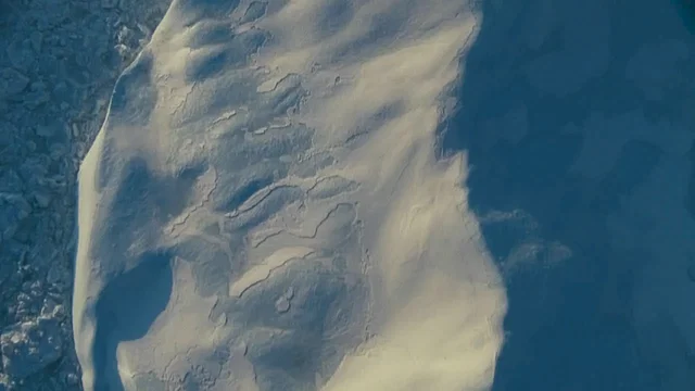Photo 3 du film : Arctic Tale