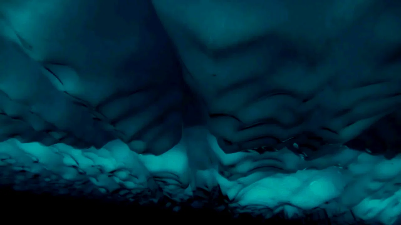Photo 4 du film : Arctic Tale
