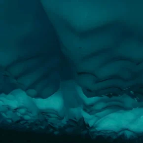 Photo du film : Arctic Tale