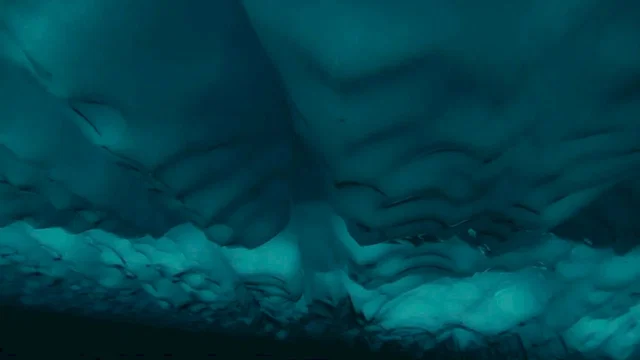 Photo 4 du film : Arctic Tale
