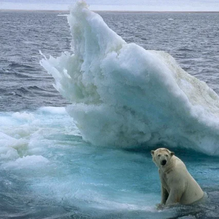 Miniature photo du film : Arctic Tale