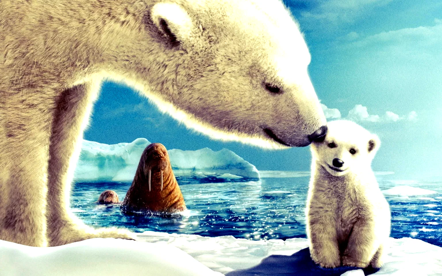 Photo 10 du film : Arctic Tale