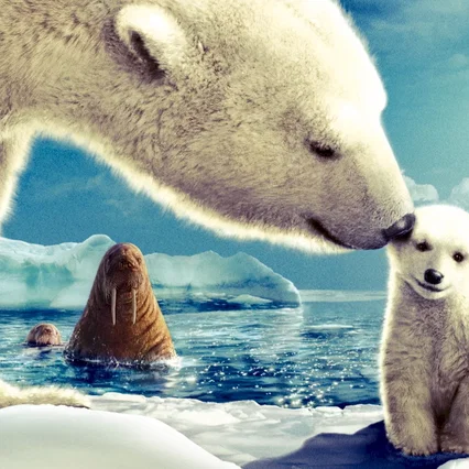 Miniature photo du film : Arctic Tale