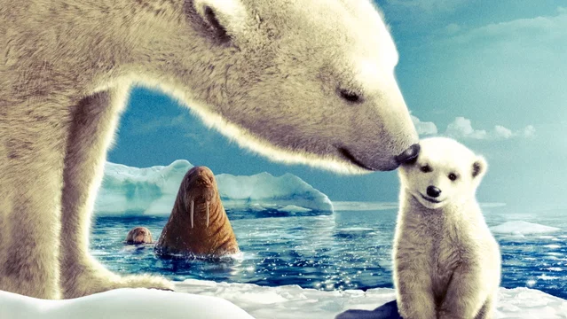 Photo 10 du film : Arctic Tale
