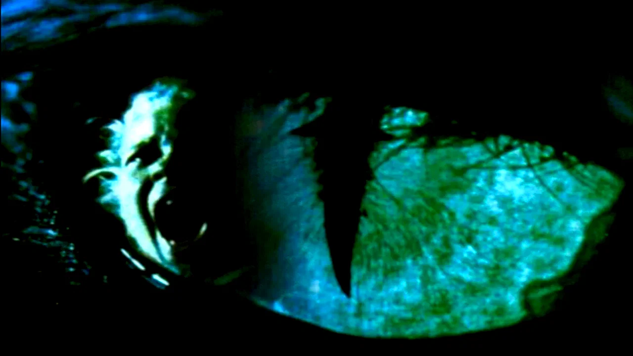 Affiche du film : Cat's eye