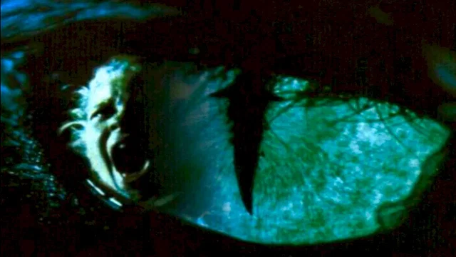 Affiche du film : Cat's eye