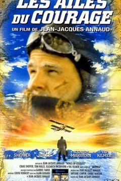 Affiche du film Les ailes du courage