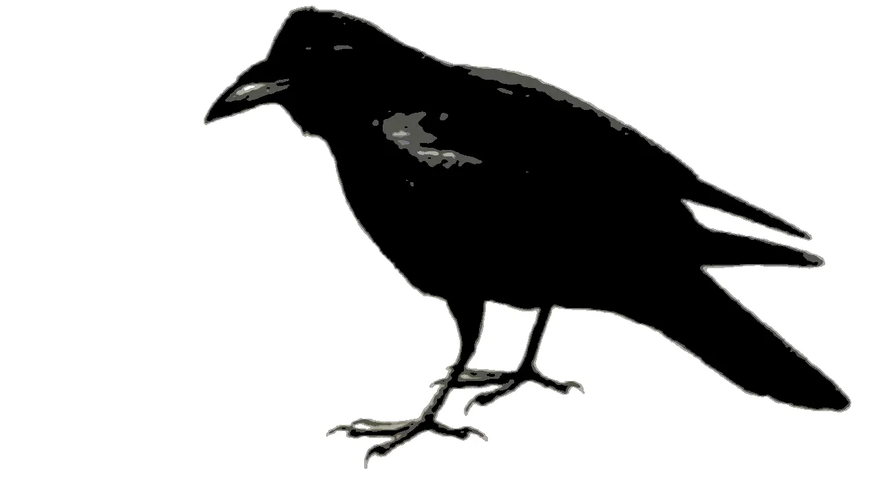 Photo 5 du film : Le corbeau