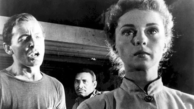 Photo 3 du film : Les cinq survivants