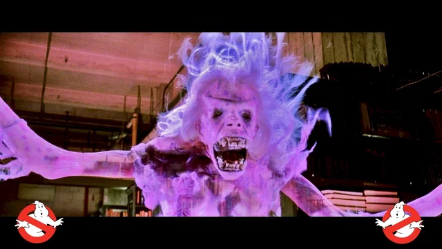 Photo 65 du film : S.O.S. Fantômes