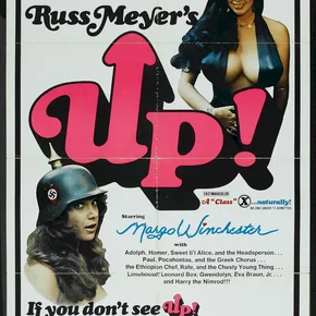 Photo du film : Megavixens