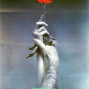Photo du film : Le roi des roses