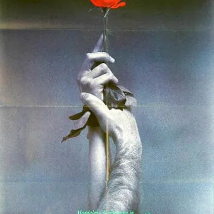 Miniature photo du film : Le roi des roses