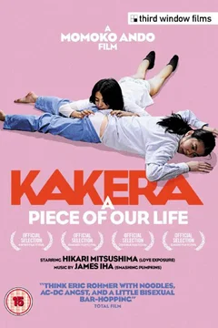 Affiche du film A piece of our life