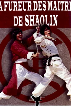 Affiche du film = La fureur de shaolin