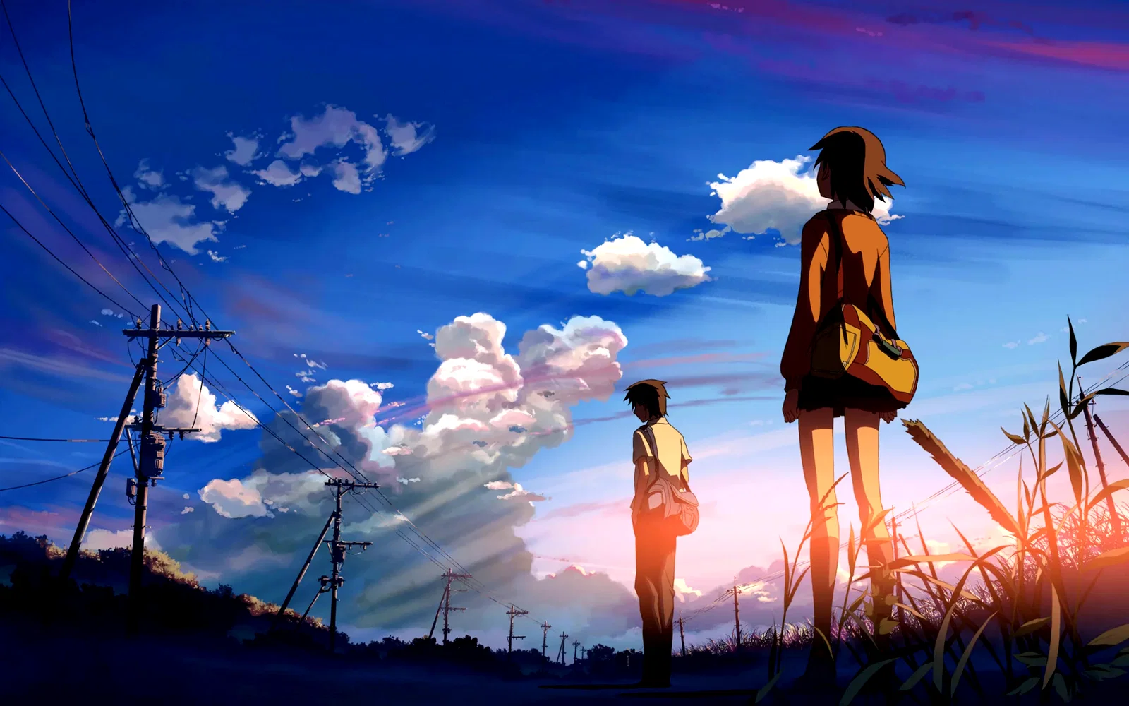 Photo 6 du film : 5 Centimeters Per Second