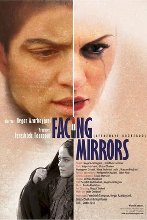 Affiche du film : Facing Mirrors