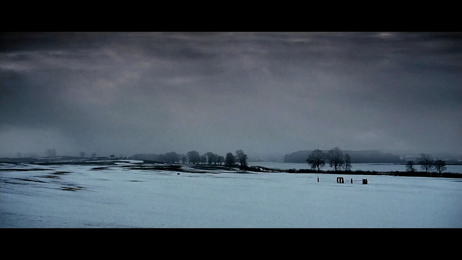Photo 2 du film : Rose