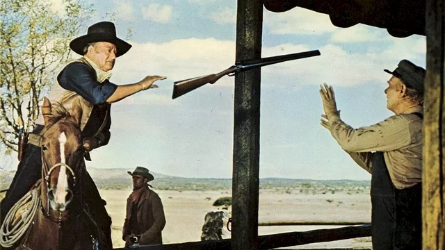 Photo du film : Les cordes de la potence