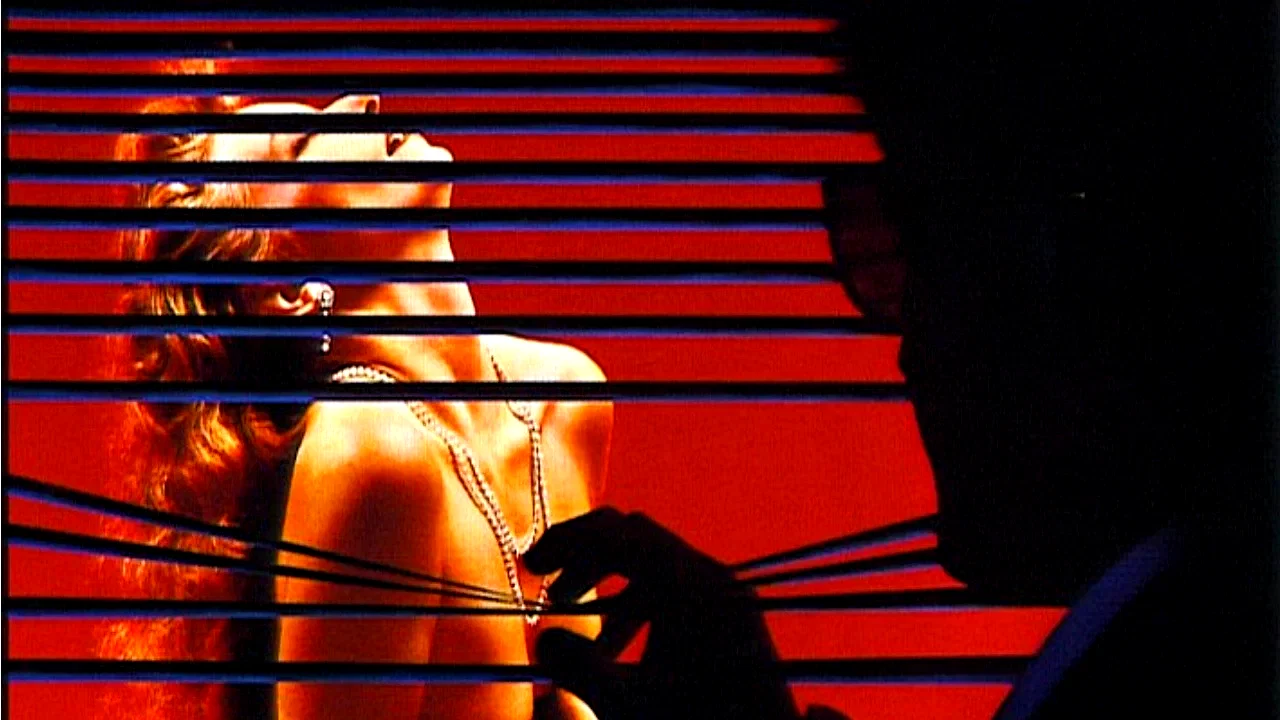 Photo 2 du film : Body double