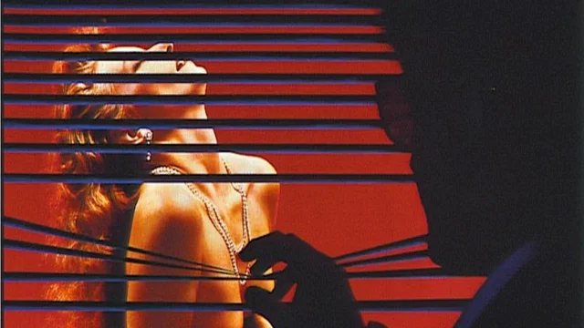 Photo du film : Body double