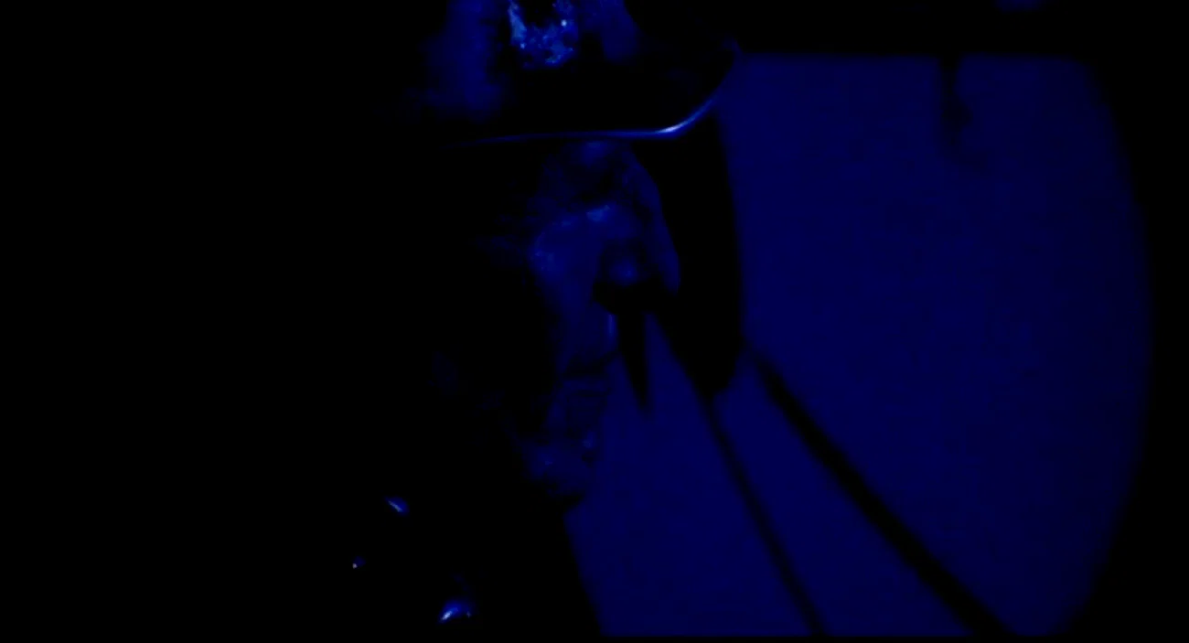 Photo 6 du film : Body double
